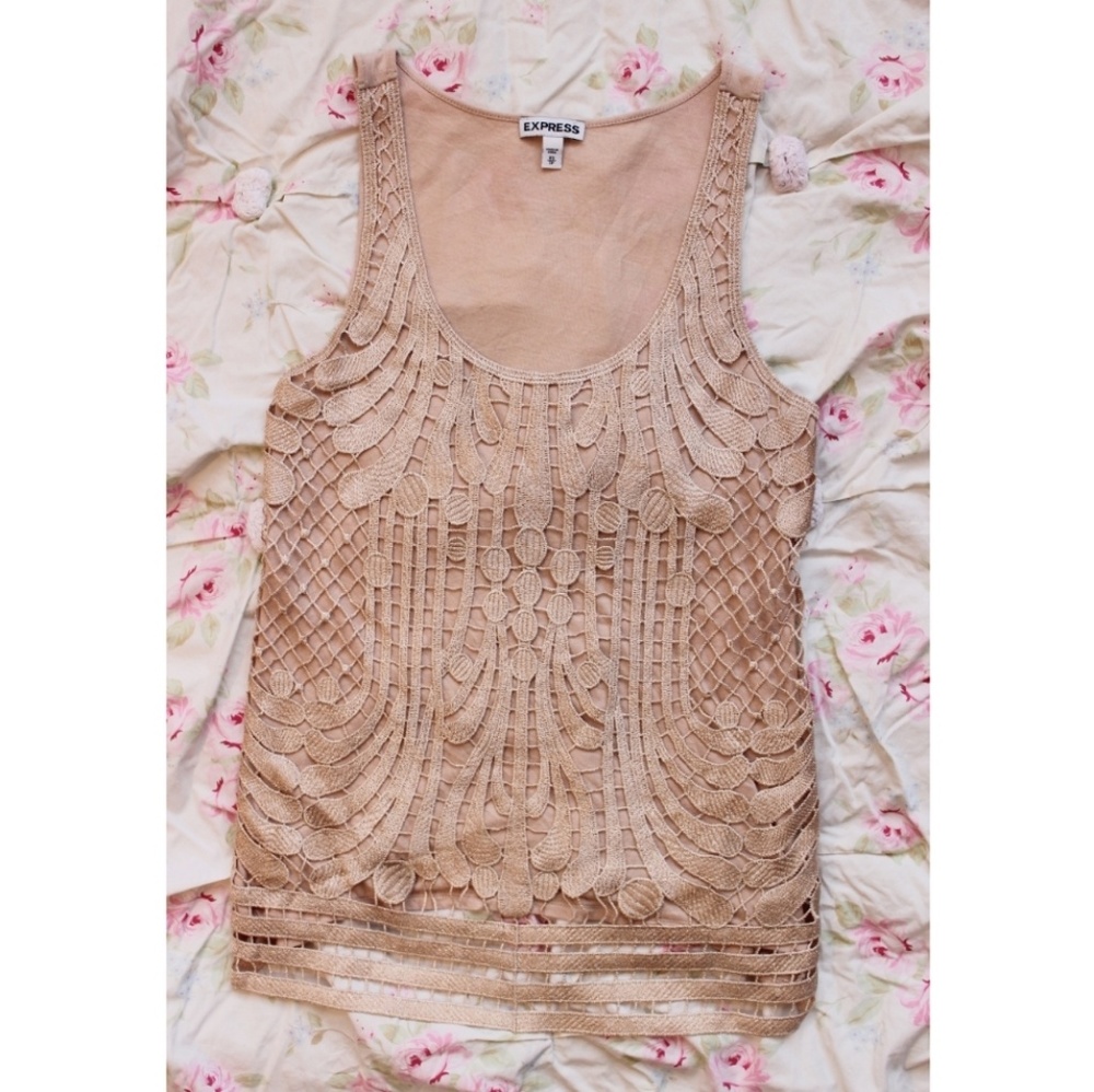 Express Blouse Pink Champagne